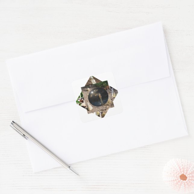 Sticker Carré Polyscope de Meerkat, (Enveloppe)