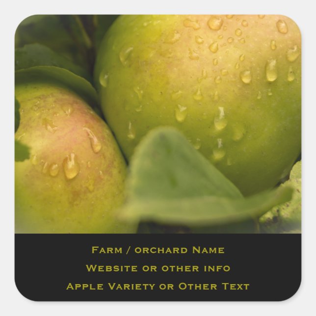 Sticker Carré Pommes vertes fraîches avec une frontière agitée (Devant)