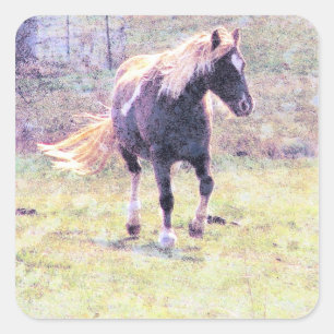 Sticker Carré Poney de Pinto