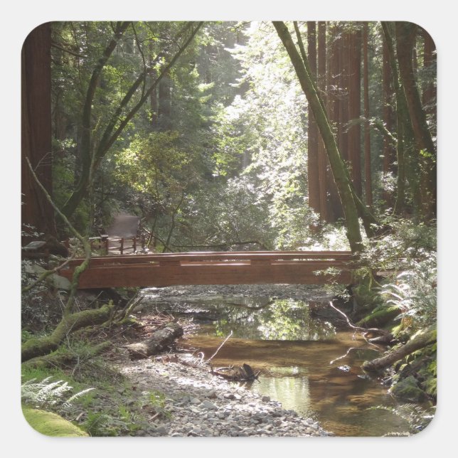 Sticker Carré Pont de Muir Woods II (Devant)