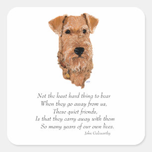 Sticker Carré Pont Irish Terrier Rainbow
