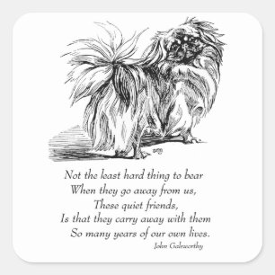 Sticker Carré Pont Pekingese Chien Rainbow