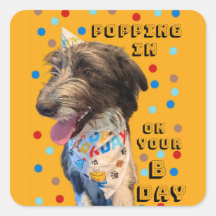 Sticker Carré Pop Anniversaire En Stick De Chiot