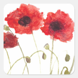 Sticker Carré Poppies fleurs rouges aquarelle rustique fleur sau