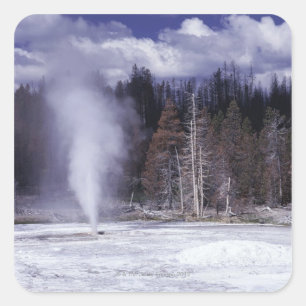 Sticker Carré Porc Chop Geyser, Parc national de Yellowstone