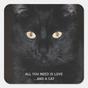 Sticker Carré Portrait de chat noir