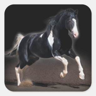 Sticker Carré Portrait de cheval VIII