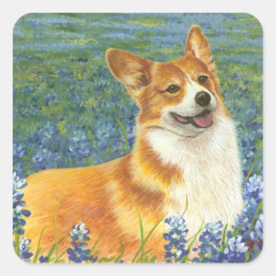 Sticker Carré Portrait de Corgi et Bluebonnets