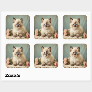 Sticker Carré Portrait de doux chaton ragdoll vintage avec fleur