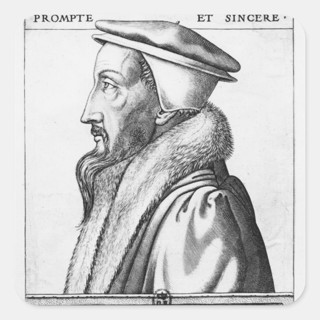 Sticker Carré Portrait de John Calvin âgé de 53 ans, 1564 (Devant)
