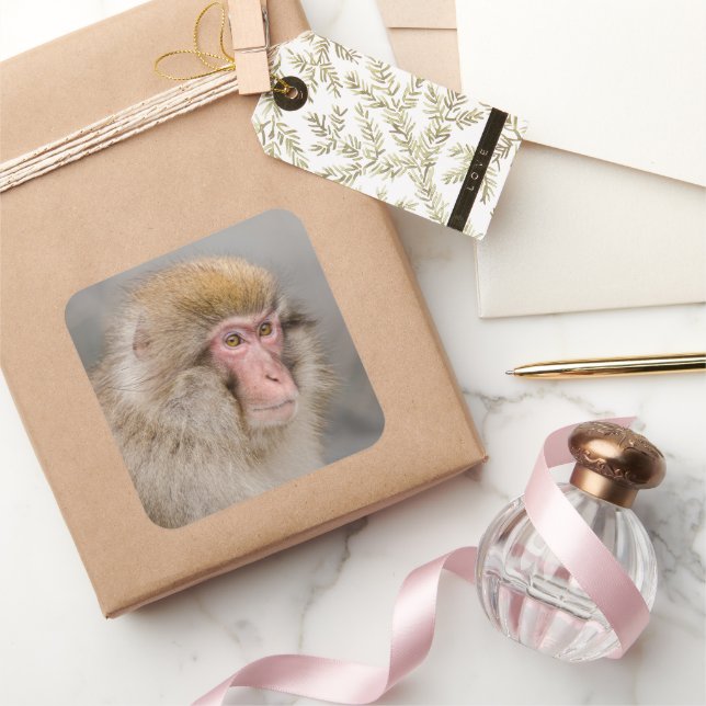 Sticker Carré Portrait de Macaque Brun (Cadeaux)
