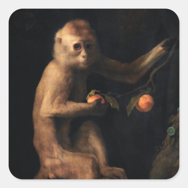 Sticker Carré Portrait d'un singe (Devant)