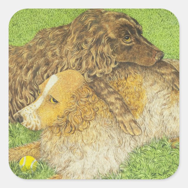 Sticker Carré Possession (Devant)