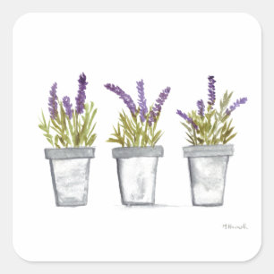 Sticker Carré Pots d'herbe lavande aquarelle violet nature plant