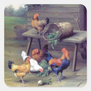 Sticker Carré Poules du panier à diner