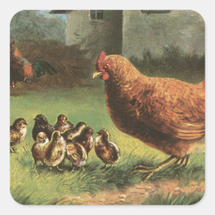 Sticker Carré Poules et poules