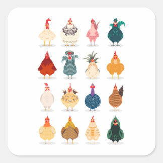 Sticker Carré Poulet mou