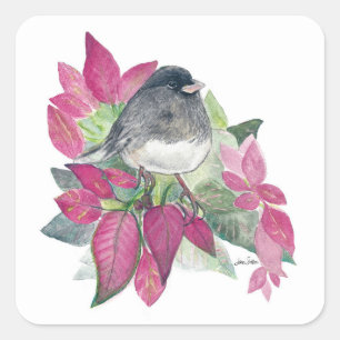 Sticker Carré pour oiseaux Dark Eyed Junco