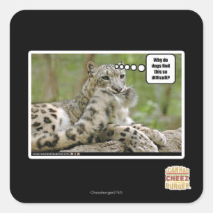 Sticker Carré Pourquoi les chiens trouvent-ils ceci si difficile