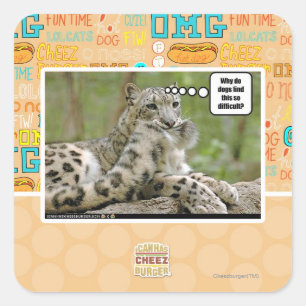 Sticker Carré Pourquoi les chiens trouvent-ils cela si difficile