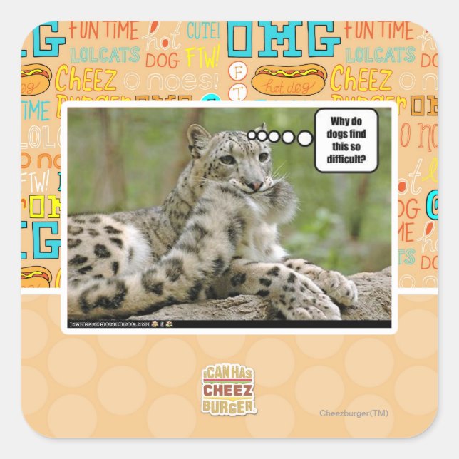 Sticker Carré Pourquoi les chiens trouvent-ils cela si difficile (Devant)