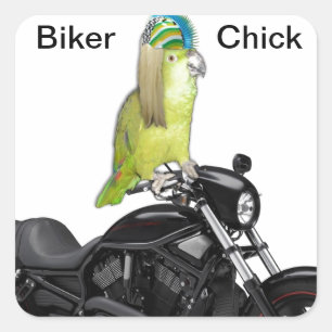 Sticker Carré Poussin de cycliste de perroquet dessus