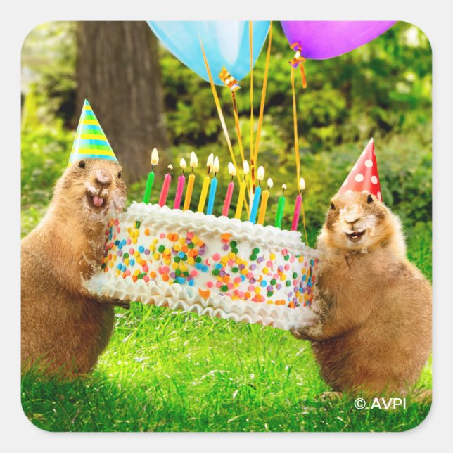 Sticker Carré Prairie Dog Birthday Party (Devant)