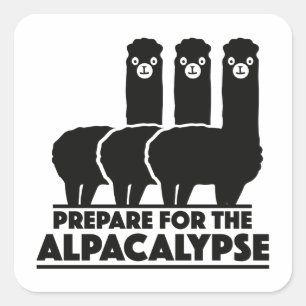 Sticker Carré Préparation pour l'alpacalypse