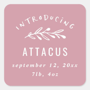 Sticker Carré Présentation du faire-part de naissance de branche