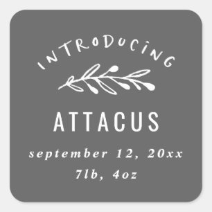 Sticker Carré Présentation du faire-part de naissance de branche