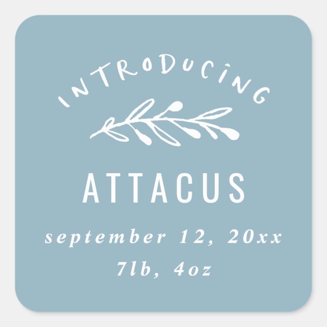 Sticker Carré Présentation du faire-part de naissance des branch (Devant)