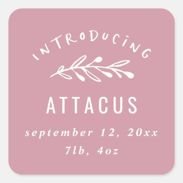 Sticker Carré Présentation du faire-part de naissance des branch (Devant)