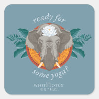 Prêt pour le Yoga ? - Le Lotus Blanc