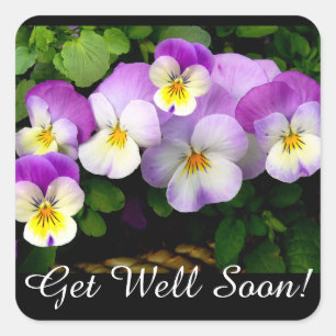 Sticker Carré Pretty Pansy Get well