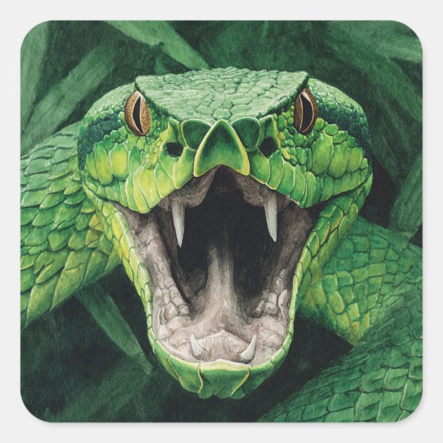 Sticker Carré Primal Power 008 – Serpent (Devant)