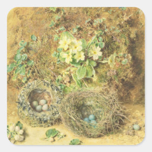 Sticker Carré Primroses et nids d'oiseaux