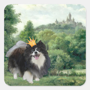 Sticker Carré Prince Pomeranian noir