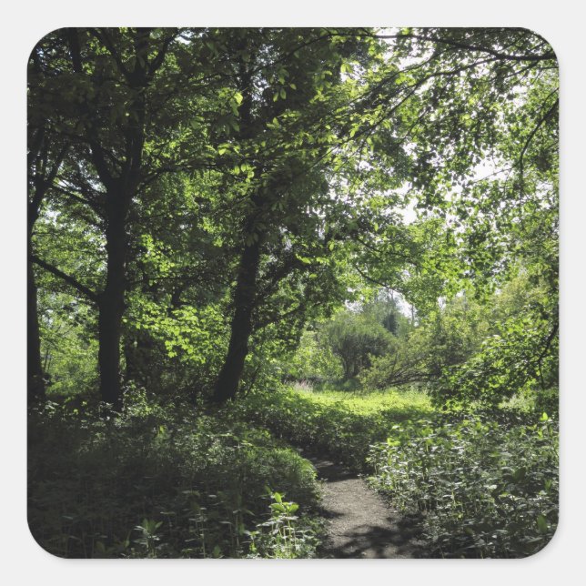Sticker Carré Printemps dans les bois 03 (Devant)