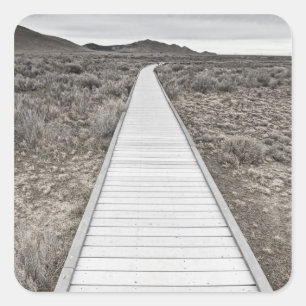 Sticker Carré Promenade à travers le désert
