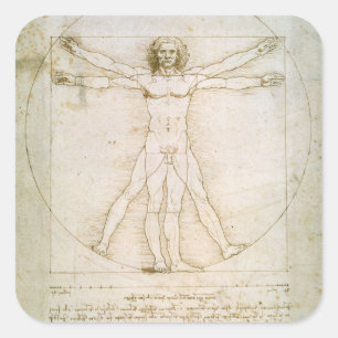 Sticker Carré Proportions de la figure humaine