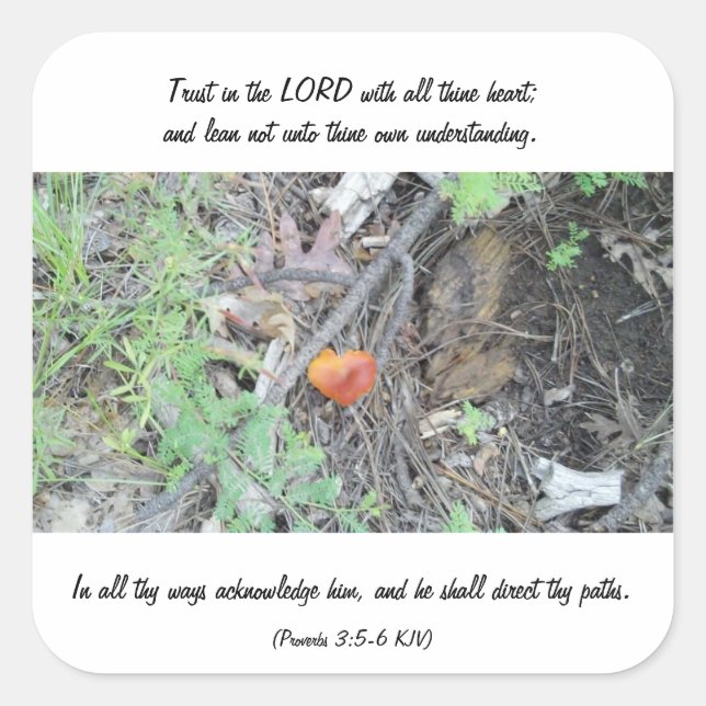 Sticker Carré Proverbes 3:5-6 (Devant)