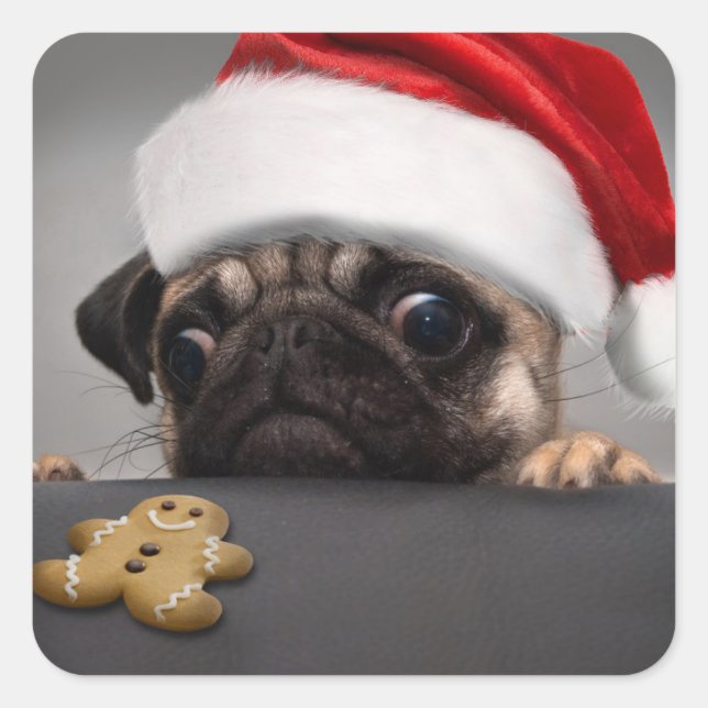 Sticker Carré Pug de Christmas (Devant)