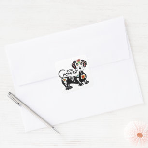 Sticker Carré Puissance Doxi