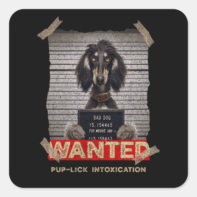 Sticker Carré Pup-Lick Intoxication: The Elegant Afghan Hound's  (Devant)