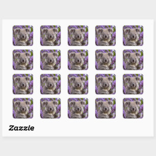 Sticker Carré Purple Jacaranda Koala Ours,