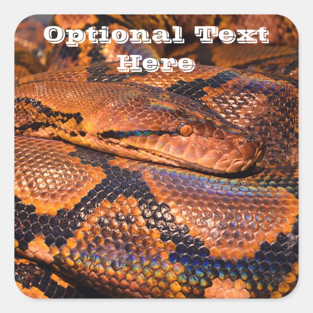 Sticker Carré Python Snake (Devant)