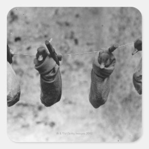 Sticker Carré Quatre canetons d'un jour sortis du danger