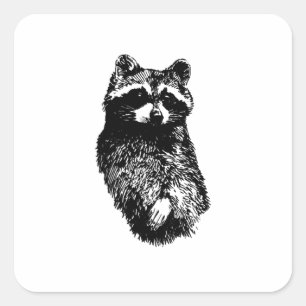 Sticker Carré Raccoon