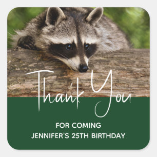Sticker Carré Raccoon mignon reposant sur un Merci de journal