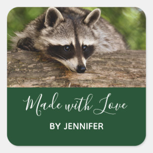 Sticker Carré Raccoon mignon reposant sur une rondelle, fait ave